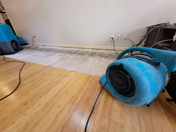 Professional Structural Drying technician working in Bear Lake, MI